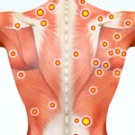 5 Common Causes of Musculoskeletal Pain and How to Address Them